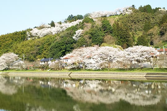 画像：三刀屋尾崎城跡