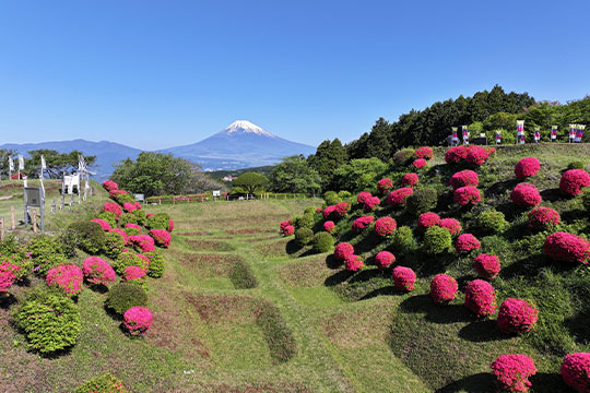 画像：山中城跡