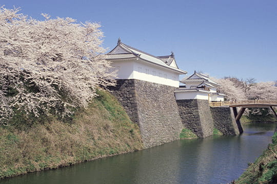 画像：霞城公園