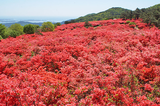 画像：徳仙丈山