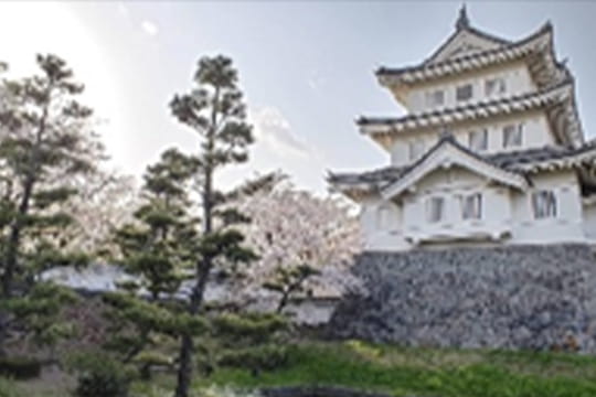 画像：忍城通り