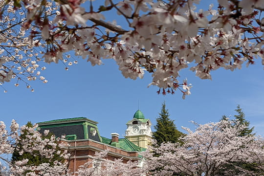 画像：牛久シャトー