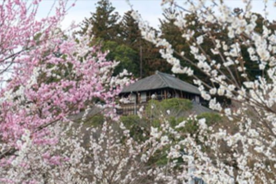 画像：偕楽園・弘道館