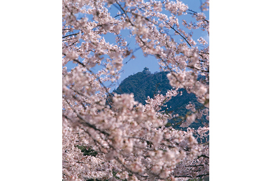 画像：岐阜公園・長良川堤一帯