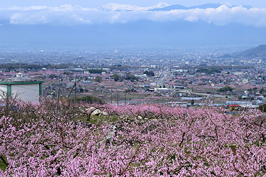 画像：釈迦堂遺跡博物館