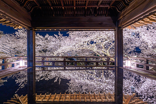 画像：三井寺（園城寺）