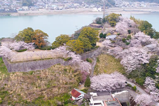画像：新宮城跡（丹鶴城跡）