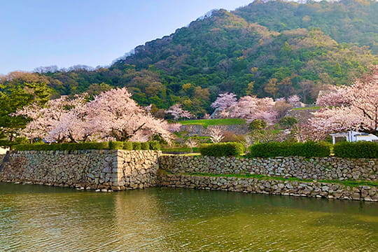 画像：鳥取城跡久松公園