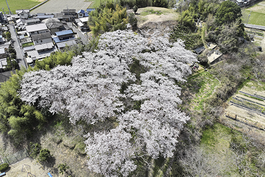 画像：浦間茶臼山古墳