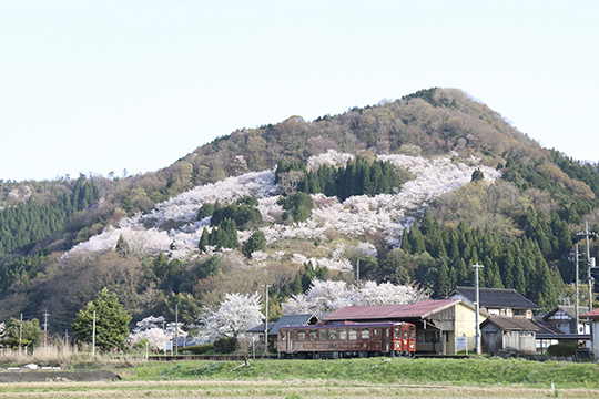 画像：天満山公園