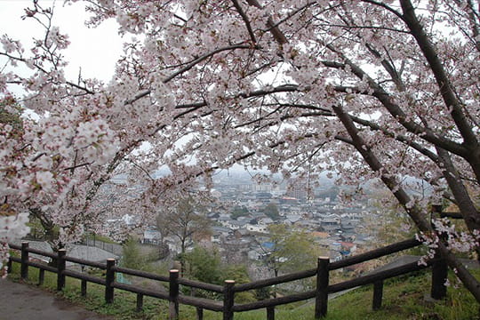 画像：県立桃陵公園