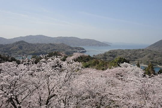 画像：開山公園