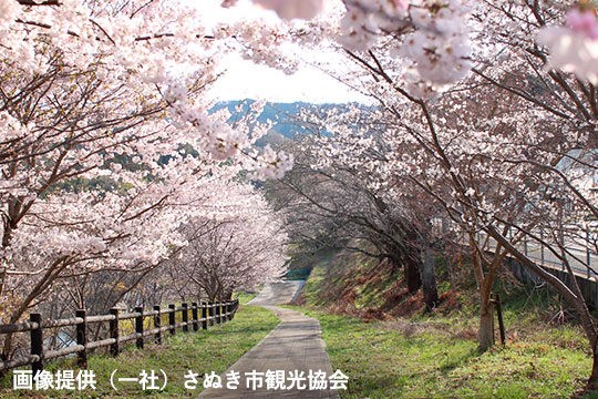 画像：前山ダム周辺