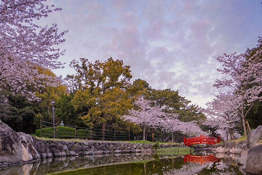 画像：琴弾公園