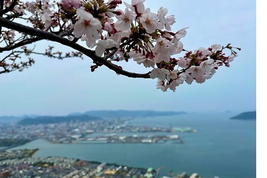 画像：屋島山上