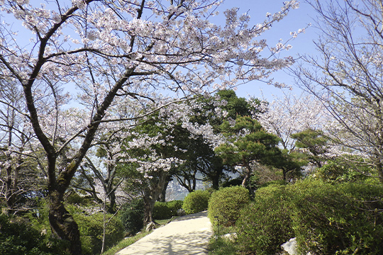 画像：五台山公園