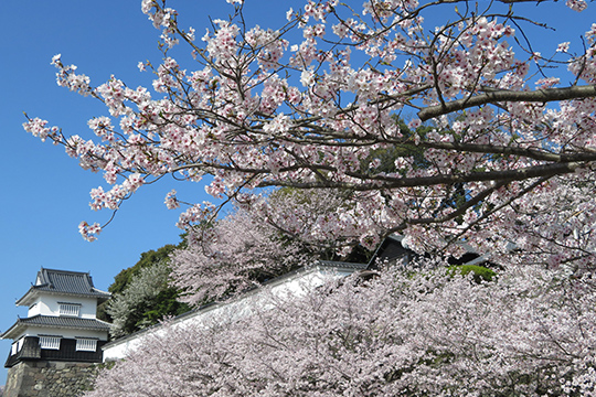 画像：大村公園